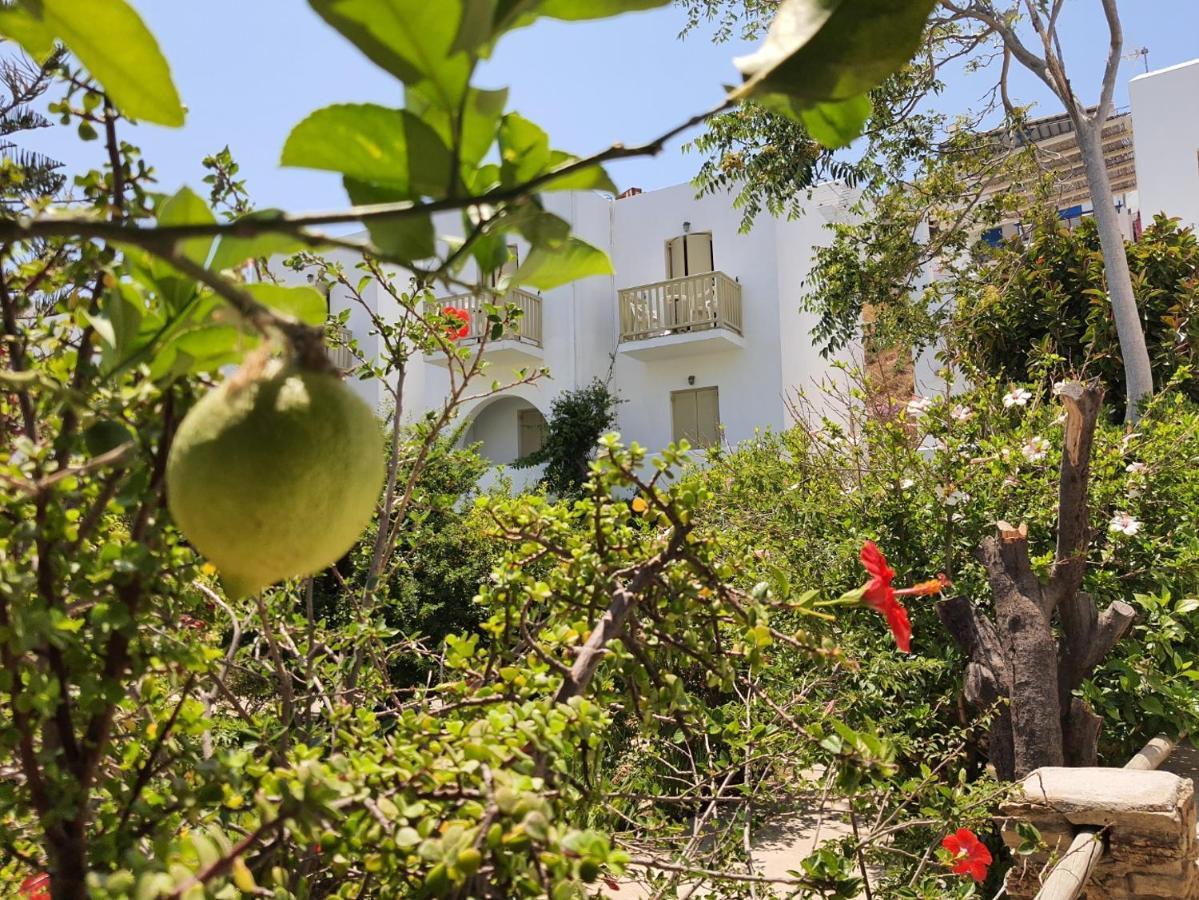 Vidalis Hotel كيونيا المظهر الخارجي الصورة
