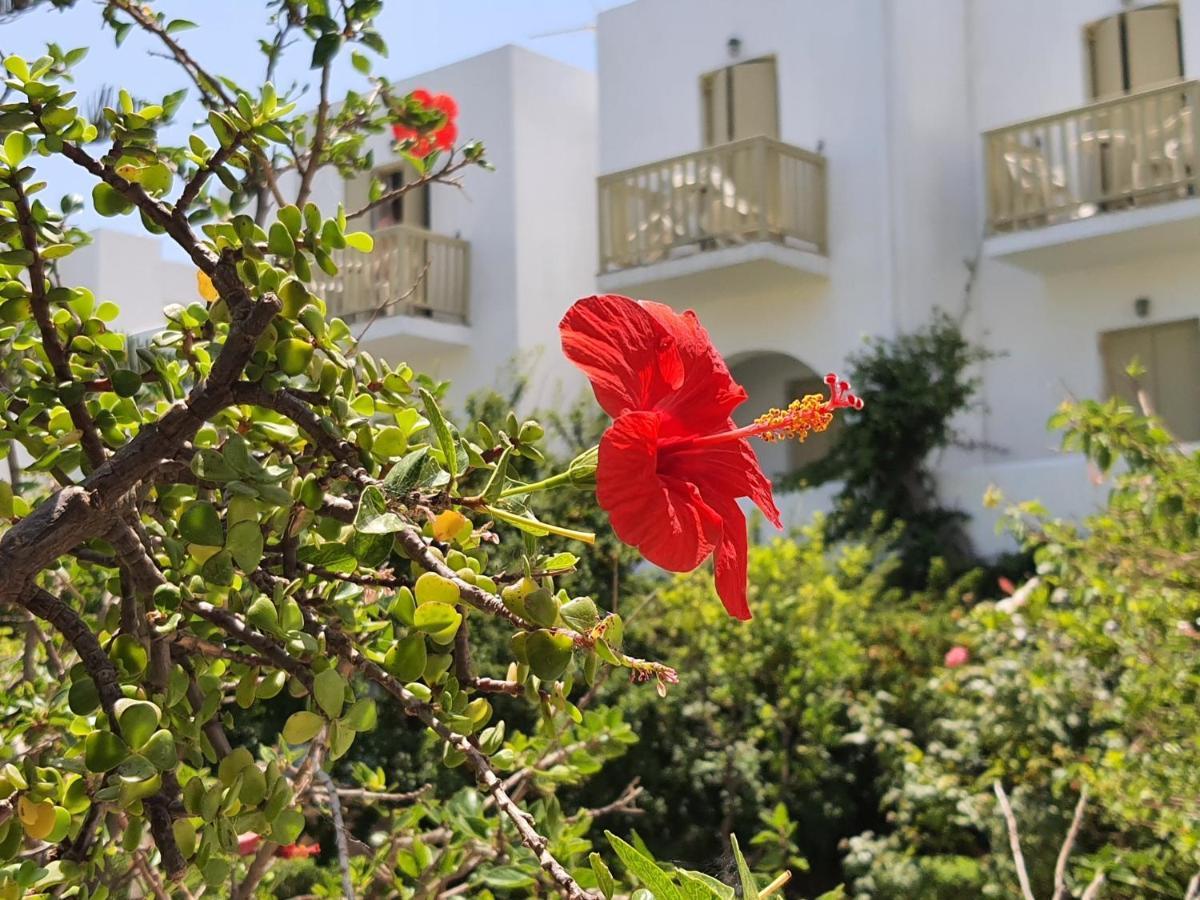 Vidalis Hotel كيونيا المظهر الخارجي الصورة