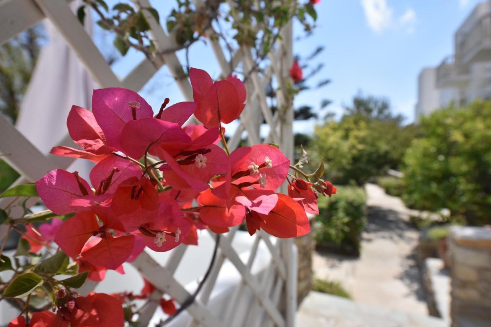 Vidalis Hotel كيونيا المظهر الخارجي الصورة