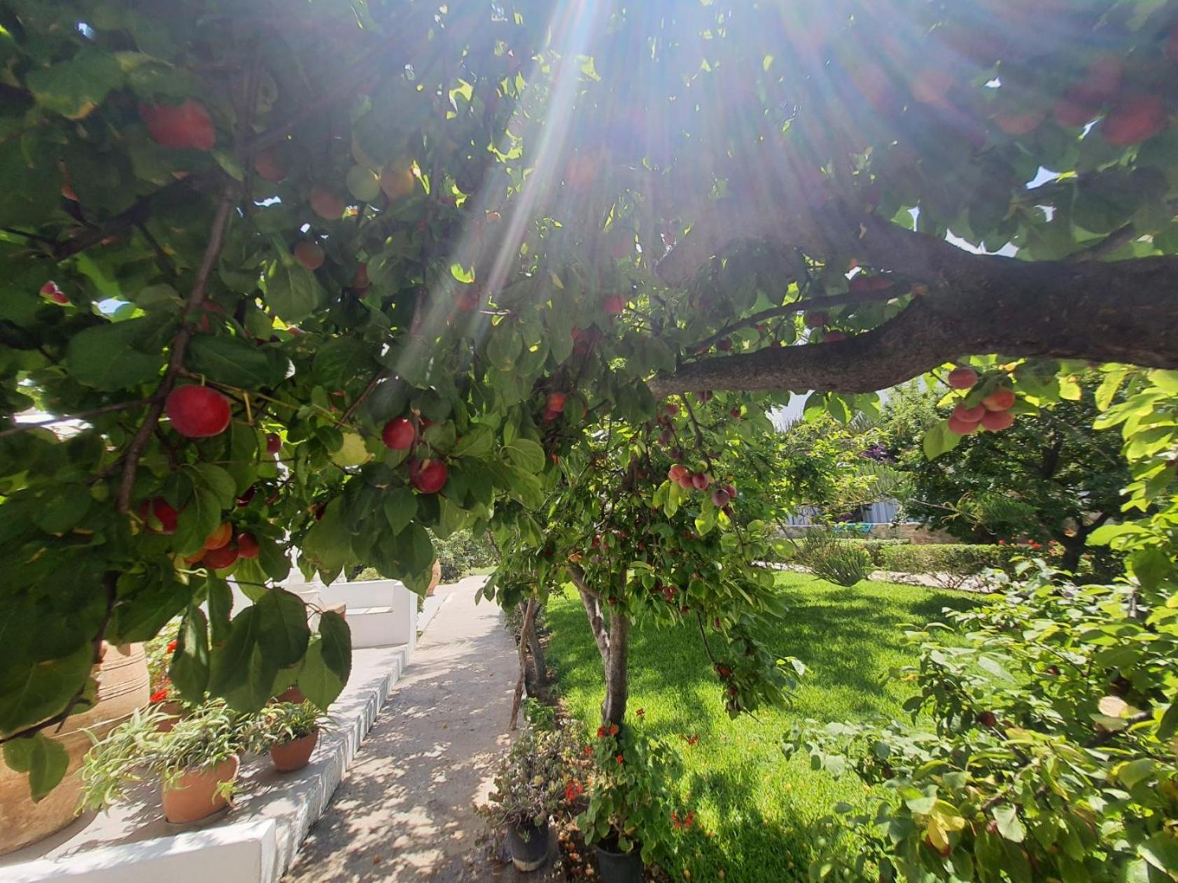 Vidalis Hotel كيونيا المظهر الخارجي الصورة